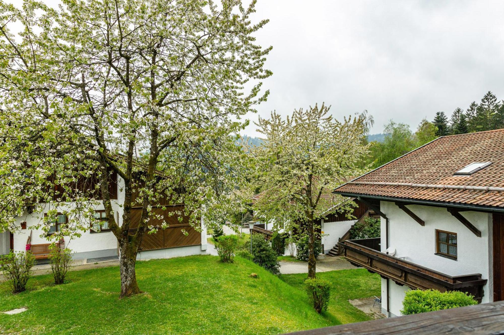 Komfortwohnung Mit Pool Und Sauna Hauzenberg Luaran gambar